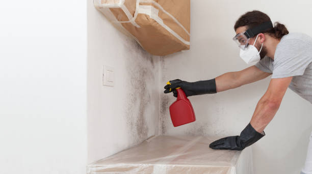 Professional Hvac And Air Duct Mold Remediation technician working in Dimondale, MI